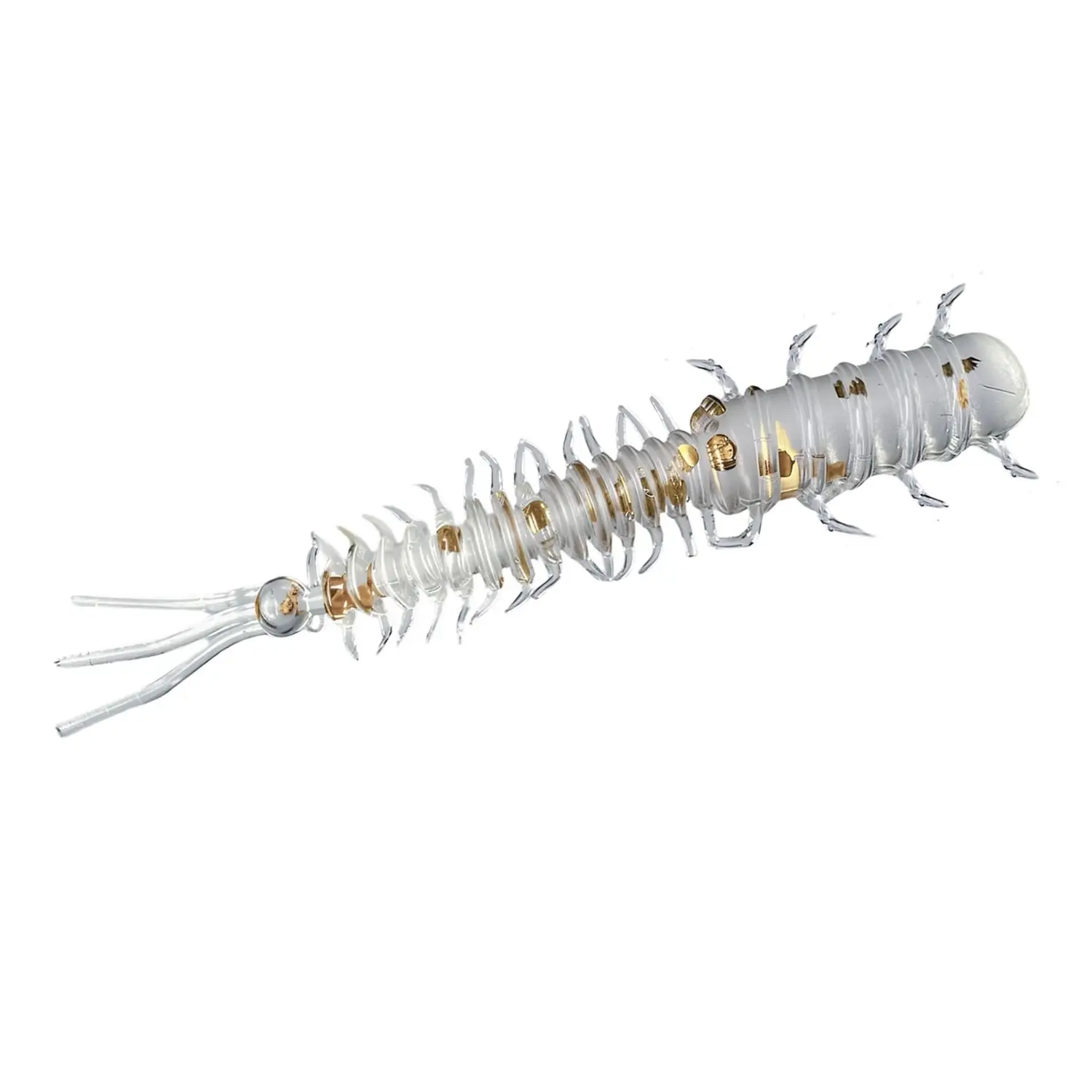 Sensei Mushi 4.5 cm 10 Adet Lrf (Aji) Silikonu - SM-Clear Gold